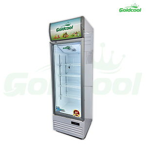 Tủ Mát 1 Cánh GoldCool GC428L - Hình ảnh 2