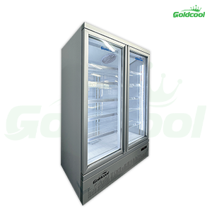 Tủ Mát 2 Cánh GoldCool GCS – 1200L (Lock dưới) - Hình ảnh 3
