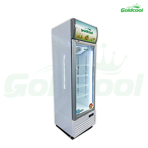 Tủ Mát 1 Cánh GoldCool GC428L - Hình ảnh 3