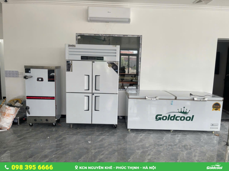 Tủ Đông 4 Cánh Goldcool | Giải Pháp Lưu Trữ Thực Phẩm Cho Quán Ăn - Nhà Hàng Nhỏ 13