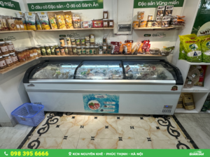 Tủ Đông Trưng Bày Goldcool | Tăng 20–40% doanh thu mỗi ngày 11